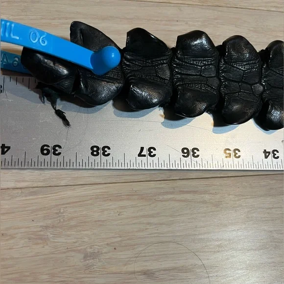 Genuine Alligator Leather Black Tanned Exotic Hornback Hide /Skin - Picture 12 of 16